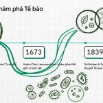 thực vật dược