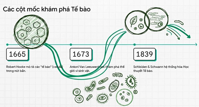 thực vật dược